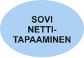 SOVI NETTI- TAPAAMINEN